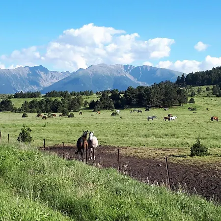 Les Eglantines Non Adapte Aux Personnes Avec Des Difficultes Physiques * Bolquere